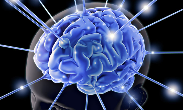 مطالعه صرع ارتباط بین فعالیت مغز و حافظه را نشان داد | نورولوژی